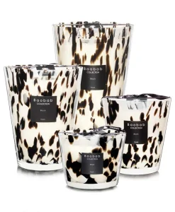 Baobab Collection Duftkerzen|Baobab Duftkerze Black Pearls