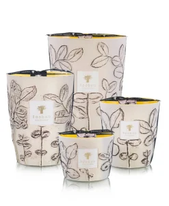 Baobab Collection Duftkerzen|Baobab Duftkerze Folia Calanque