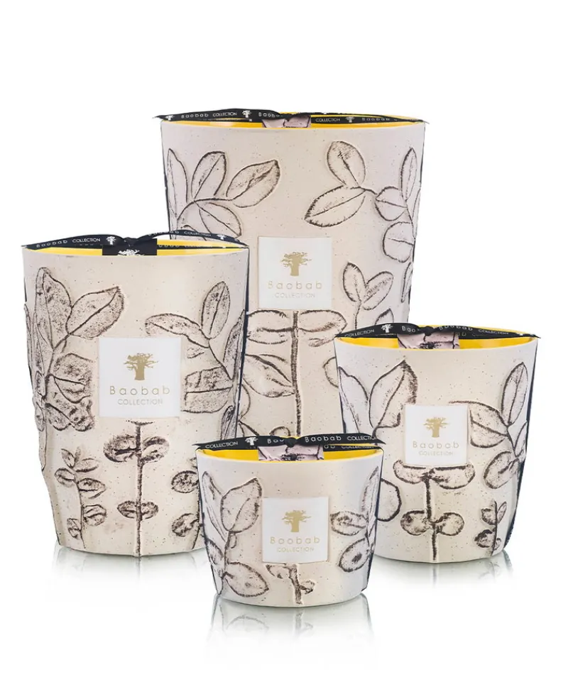 Baobab Collection Duftkerzen|Baobab Duftkerze Folia Calanque