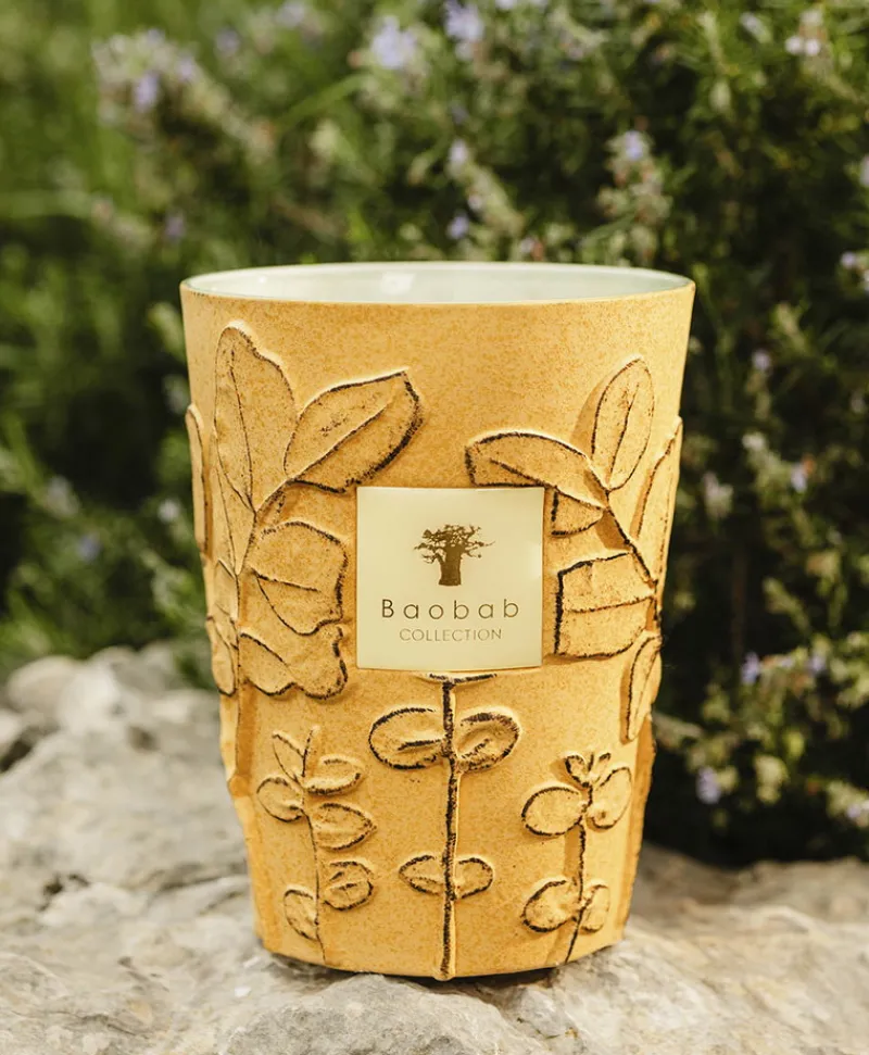 Baobab Collection Duftkerzen|Baobab Duftkerze Folia Garrigue