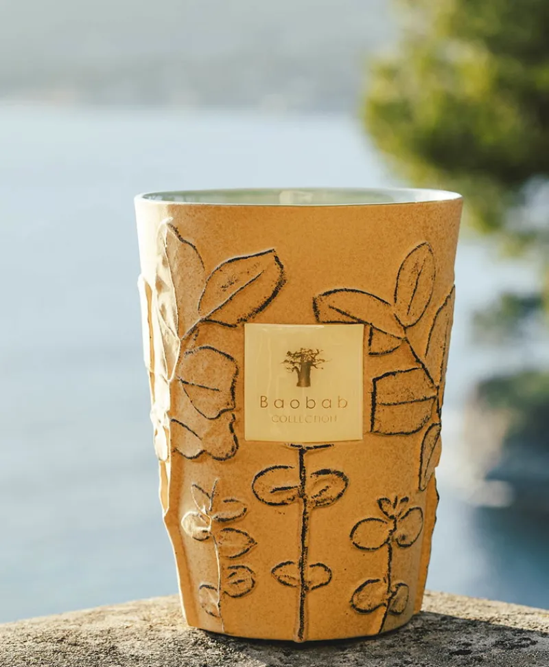 Baobab Collection Duftkerzen|Baobab Duftkerze Folia Garrigue