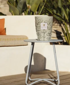 Baobab Collection Duftkerzen|Baobab Duftkerze Folia Maquis