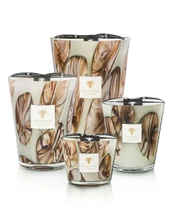 Baobab Collection Duftkerzen|Baobab Duftkerze Oceania Anangu