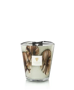 Baobab Collection Duftkerzen|Baobab Duftkerze Oceania Anangu