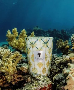 Baobab Collection Duftkerzen|Baobab Duftkerze Odyssée Ithaque