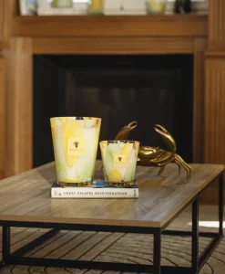 Baobab Collection Duftkerzen|Baobab Duftkerze Riviera Santo Sospir