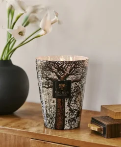 Baobab Collection Duftkerzen|Baobab Duftkerze Sacred Trees Morondo