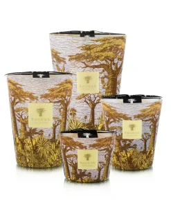 Baobab Collection Duftkerzen|Baobab Duftkerze Sacred Trees Cocody