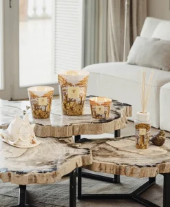 Baobab Collection Duftkerzen|Baobab Duftkerze Sacred Trees Cocody
