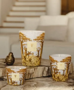 Baobab Collection Duftkerzen|Baobab Duftkerze Sacred Trees Cocody