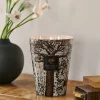 Baobab Collection Duftkerzen|Baobab Duftkerze Sacred Trees Kani