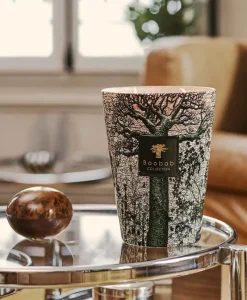 Baobab Collection Duftkerzen|Baobab Duftkerze Sacred Trees Kani