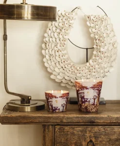 Baobab Collection Duftkerzen|Baobab Duftkerze Sacred Trees Massasso