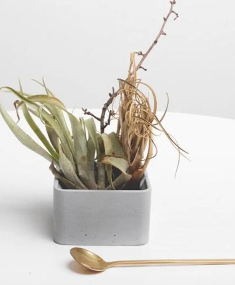 Formpoet Dosen Und Boxen|Küchenutensilien|Beton Zuckerdose mit Löffel