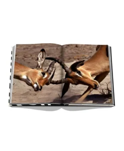 Assouline Bücher Und Bildbände|Bildband African Adventures: The Greatest Safari on Earth