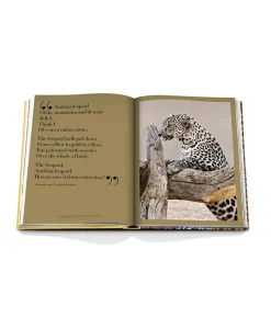 Assouline Bücher Und Bildbände|Bildband Arabian Leopard