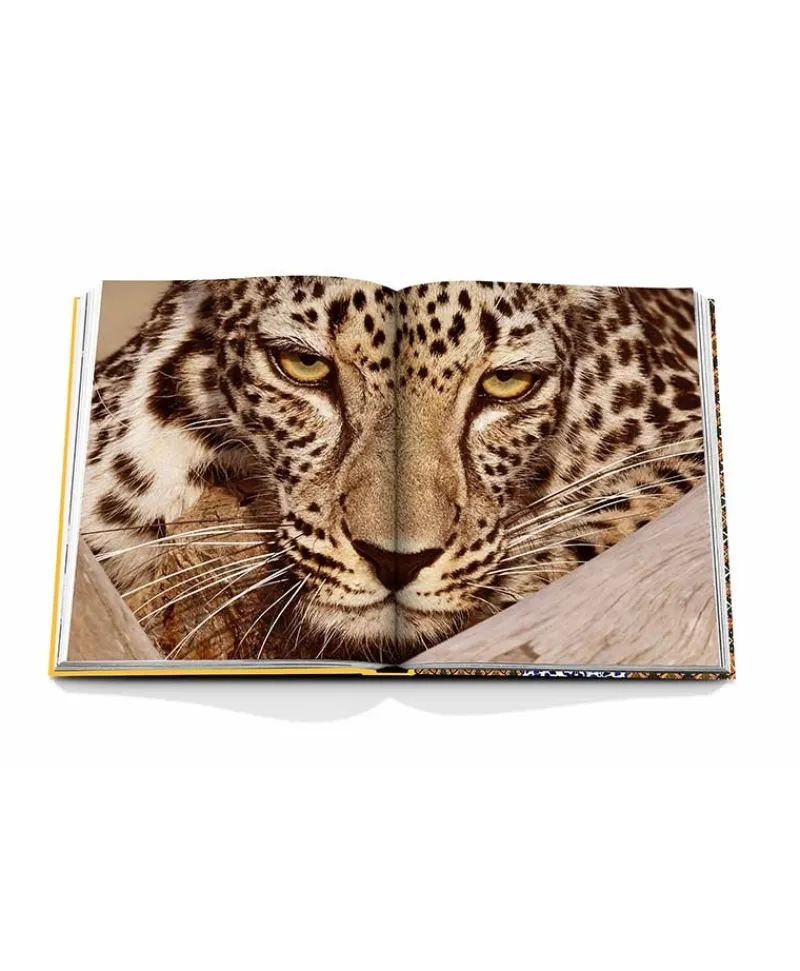 Assouline Bücher Und Bildbände|Bildband Arabian Leopard