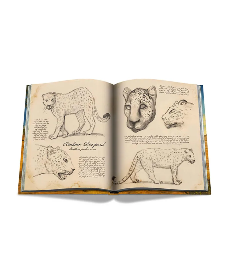 Assouline Ultimate Collection Von Assouline|Bücher Und Bildbände|Bildband Arabian Leopard Ultimate Edition