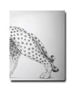 Assouline Bücher Und Bildbände|Bildband Cartier Panthere