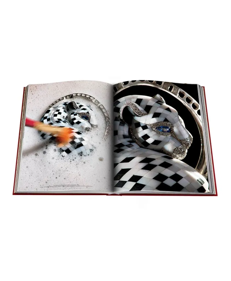 Assouline Bücher Und Bildbände|Bildband Cartier Panthere