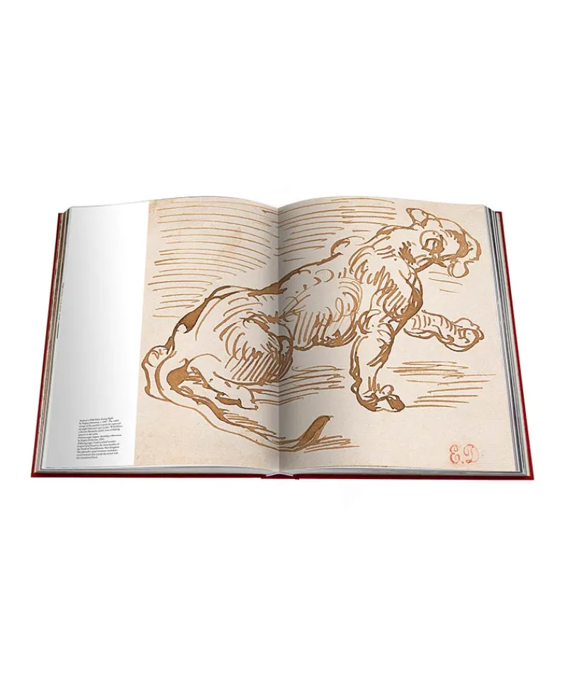 Assouline Bücher Und Bildbände|Bildband Cartier Panthere