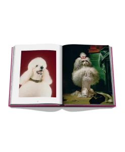Assouline Bücher Und Bildbände|Bildband Chic Dogs