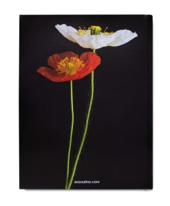 Assouline Bücher Und Bildbände|Bildband Flowers Art & Bouquets
