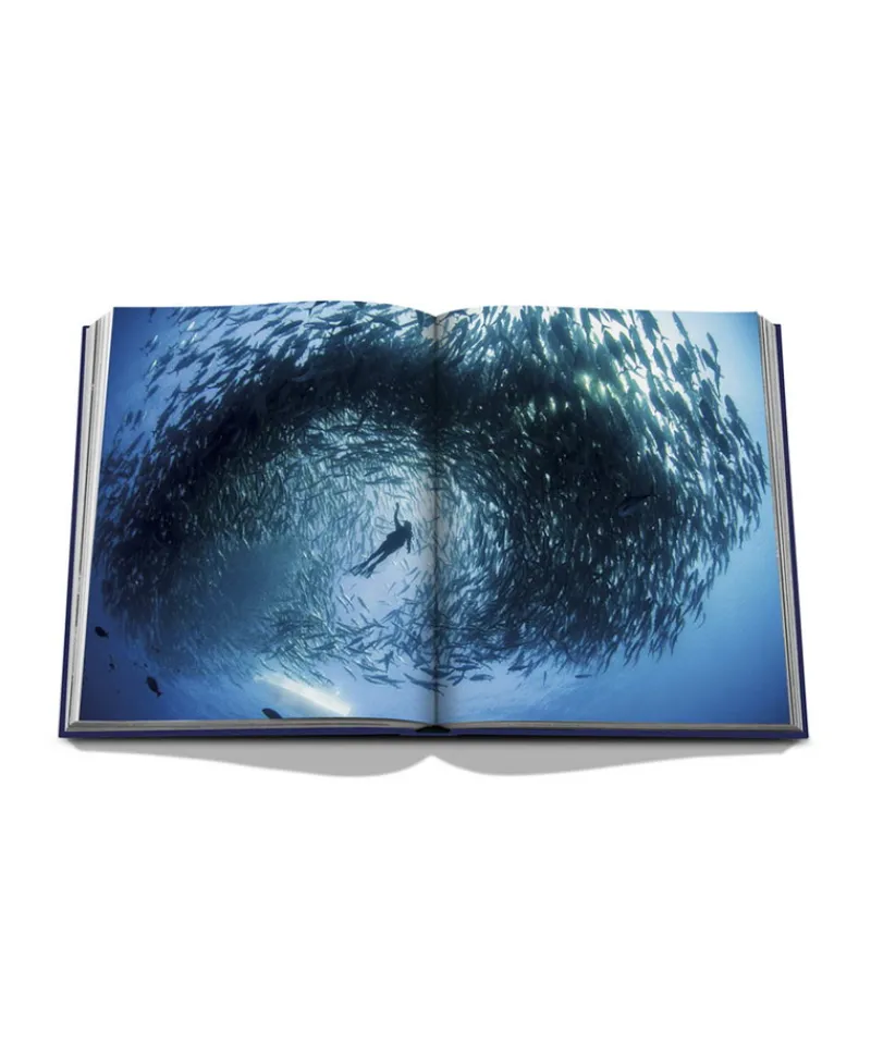 Assouline Travel Books Von Assouline|Bücher Und Bildbände|Bildband Ocean Wanderlust