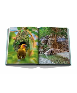 Assouline Travel Books Von Assouline|Bildband Red Sea: The Saudi Coast