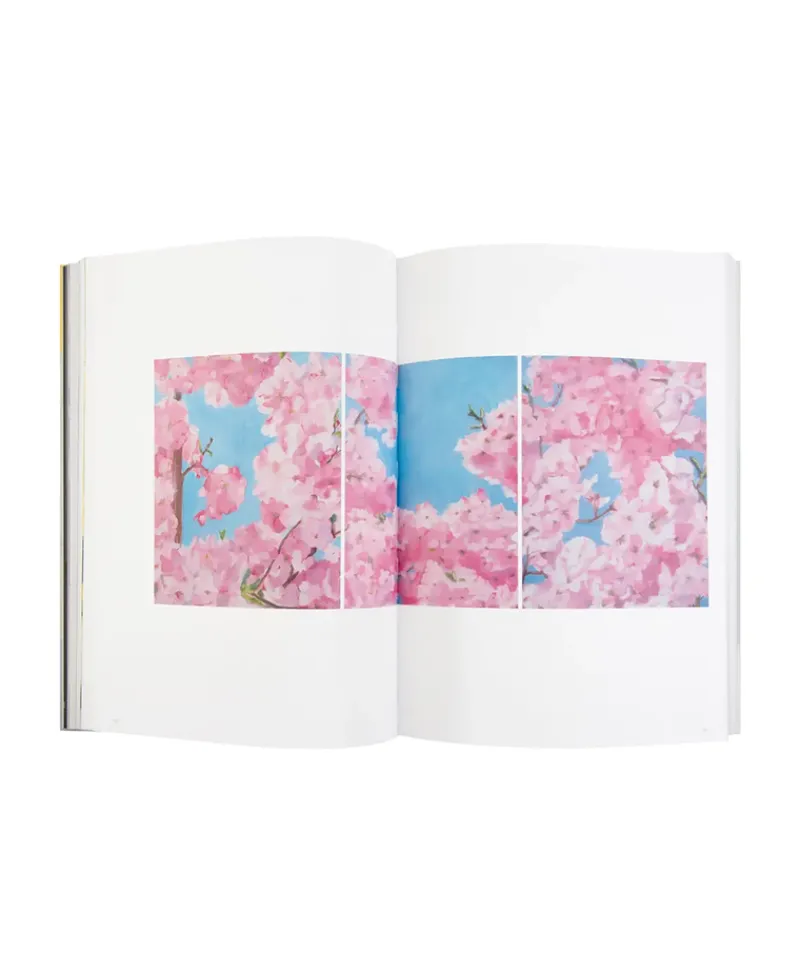 Brighter Art Gallery Bücher Und Bildbände|Bildband Susanne Heller