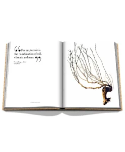 Assouline Ultimate Collection Von Assouline|Bücher Und Bildbände|Bildband The Impossible Collection of Champagne