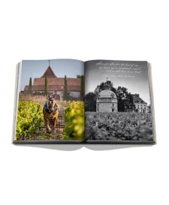 Assouline Bücher Und Bildbände|World Of Wine|Bildband Wine & Travel France