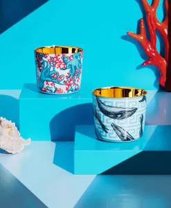 Sieger by Fu00fcrstenberg Bier-, Champagner- Und Cocktailbecher|Porzellan|Champagner Becher - Sip of Gold Beautiful Creatures