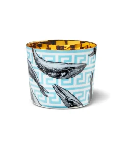 Sieger by Fu00fcrstenberg Bier-, Champagner- Und Cocktailbecher|Porzellan|Champagner Becher - Sip of Gold Beautiful Creatures