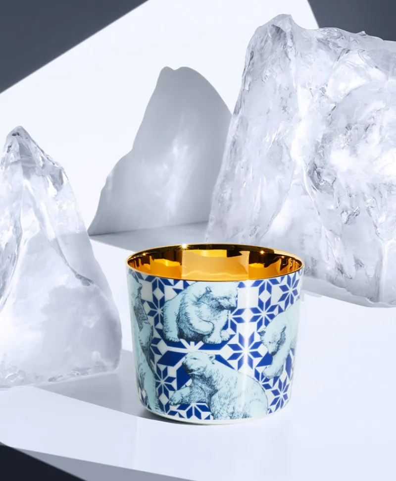 Sieger by Fu00fcrstenberg Bier-, Champagner- Und Cocktailbecher|Porzellan|Champagner Becher - Sip of Gold Beautiful Creatures