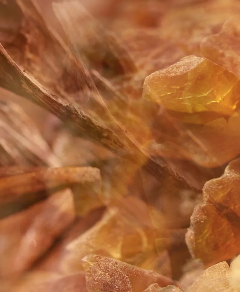 Dr. Vranjes Firenze Raumduft|Diffuser Ambra