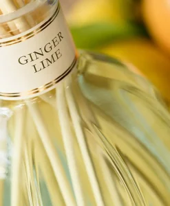 Dr. Vranjes Firenze Raumduft|Diffuser Ginger Lime