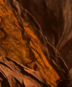 Dr. Vranjes Firenze Raumduft|Diffuser Rosa Tabacco