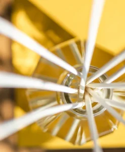 Dr. Vranjes Firenze Raumduft|Diffuser Stäbchen