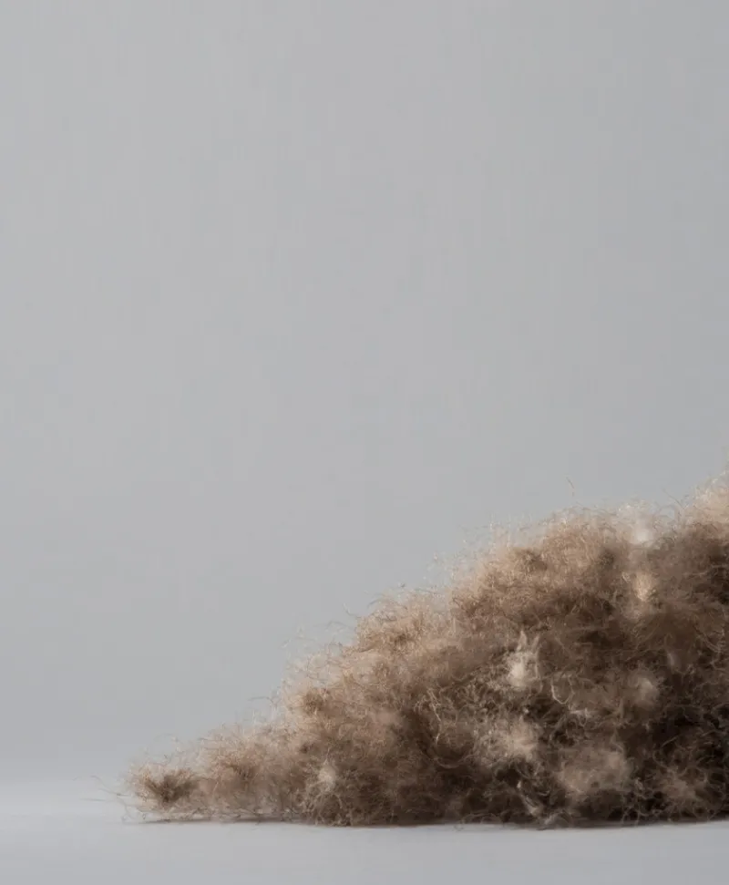 Mu00fchldorfer Bettdecken|Eiderdaunen Bettdecke