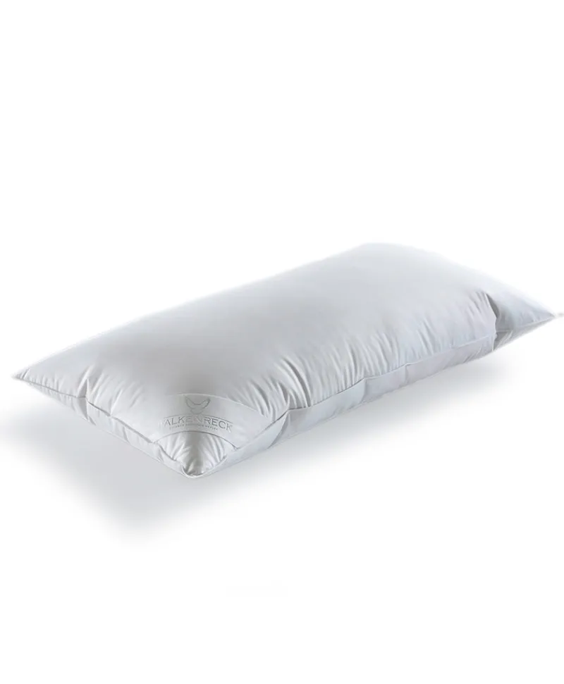 Falkenreck Kissen|Kissen Wolke
