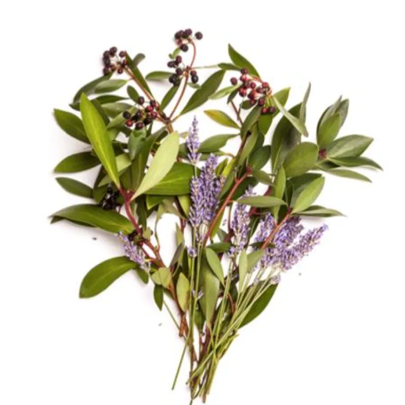 BONDI WASH Körperpflege|Feuchtigkeitsspendendes Körperspray - BODY SPRAY