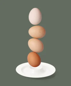 Dibbern Porzellan|Fine Bone China CLASSIC Frühstückszubehör