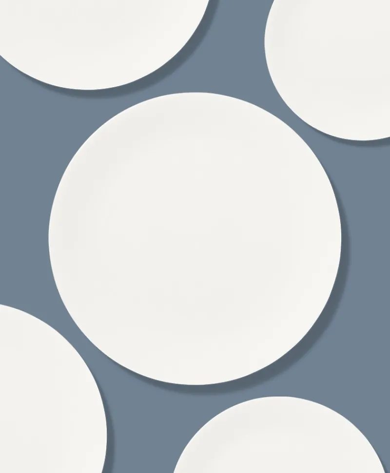 Dibbern Porzellan|Teller|Fine Bone China PURE Teller flach