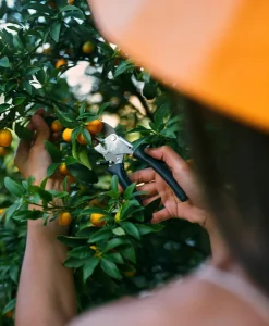 Chop Chop Bloom Tools Und Werkzeuge|Outdoor Accessoires|Gartenschere mit Ledergriff