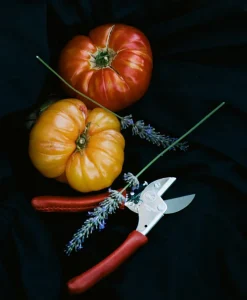 Chop Chop Bloom Tools Und Werkzeuge|Outdoor Accessoires|Gartenschere mit Ledergriff