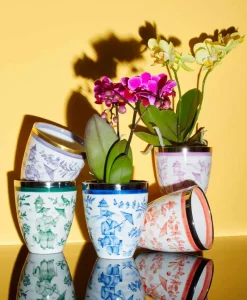 Sofina Porzellan Vasen|Handbemalte Porzellan Vase Rodler mit Goldrand