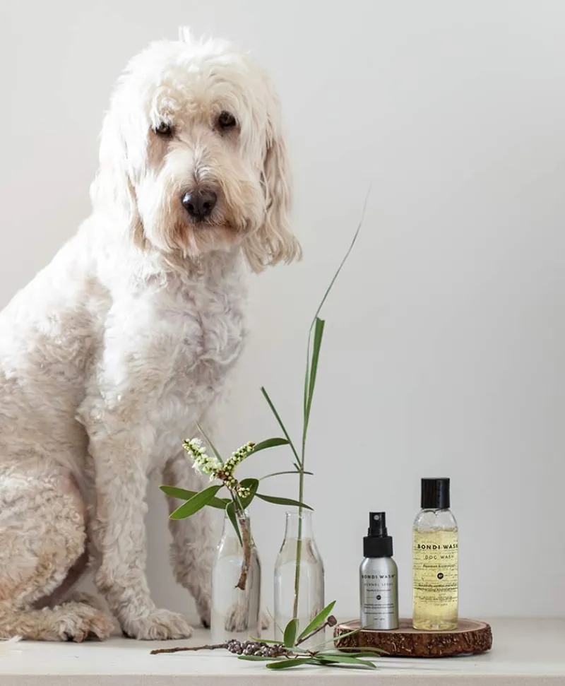 BONDI WASH Reinigungsmittel|Alles Fürs Haustier|Haustier-Lufterfrischer – KENNEL SPRAY