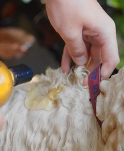 BONDI WASH Alles Fürs Haustier|Hundeshampoo - DOG WASH