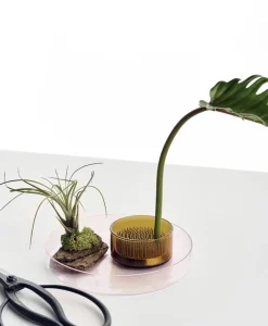 Ichendorf Milano Vasen|Tabletts|Kenzan Tablettset